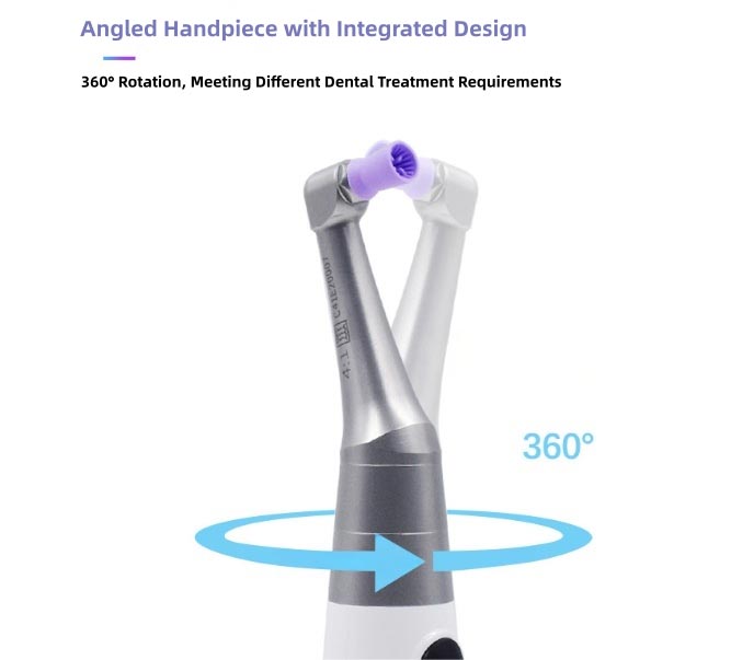 Dental Polisher